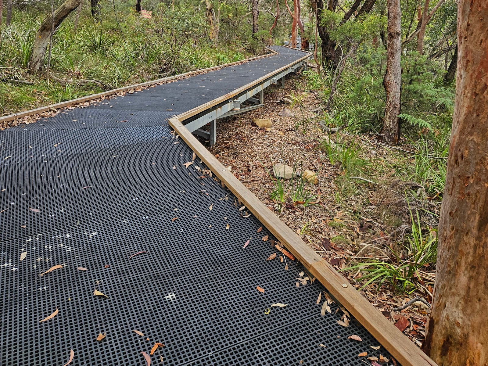 Manly Dam Mountain Bike Trail
